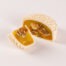 Momoyama Golden Fungus with Nuts Mooncake